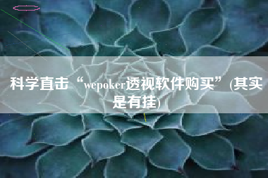 科学直击“wepoker透视软件购买”(其实是有挂) 科学直击“wepoker透视软件购买”(其实是有挂)