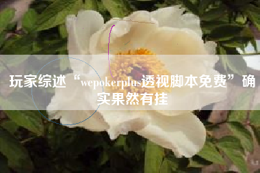 玩家综述“wepokerplus透视脚本免费”确实果然有挂