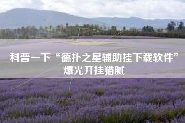 科普一下“德扑之星辅助挂下载软件”爆光开挂猫腻