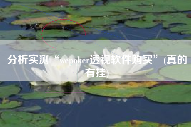 分析实测“wepoker透视软件购买”(真的有挂)