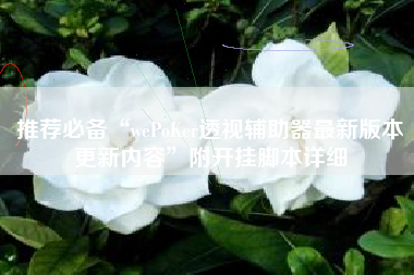 推荐必备“wePoKer透视辅助器最新版本更新内容”附开挂脚本详细 推荐必备“wePoKer透视辅助器最新版本更新内容”附开挂脚本详细