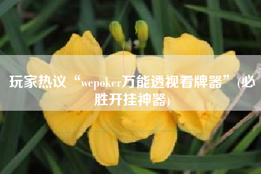 玩家热议“wepoker万能透视看牌器”(必胜开挂神器)