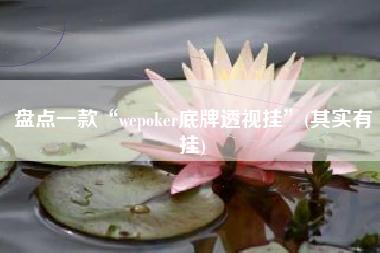 盘点一款“wepoker底牌透视挂”(其实有挂) 盘点一款“wepoker底牌透视挂”(其实有挂)