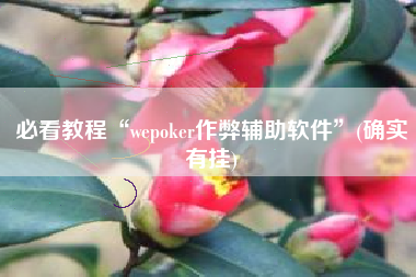 必看教程“wepoker作弊辅助软件”(确实有挂)