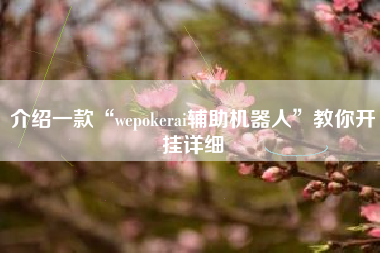 介绍一款“wepokerai辅助机器人”教你开挂详细 介绍一款“wepokerai辅助机器人”教你开挂详细