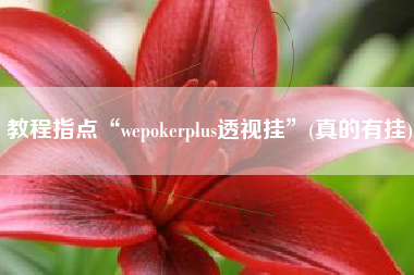 教程指点“wepokerplus透视挂”(真的有挂)
