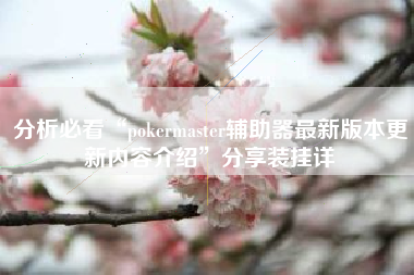 分析必看“pokermaster辅助器最新版本更新内容介绍”分享装挂详 分析必看“pokermaster辅助器最新版本更新内容介绍”分享装挂详