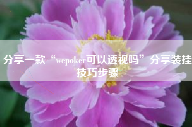 分享一款“wepoker可以透视吗”分享装挂技巧步骤