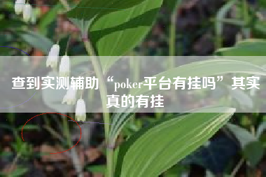 查到实测辅助“poker平台有挂吗”其实真的有挂 查到实测辅助“poker平台有挂吗”其实真的有挂