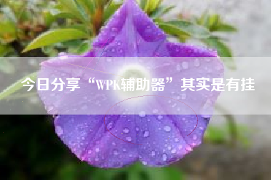 今日分享“WPK辅助器”其实是有挂