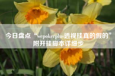 今日盘点“wepokerplus透视挂真的假的”附开挂脚本详细步