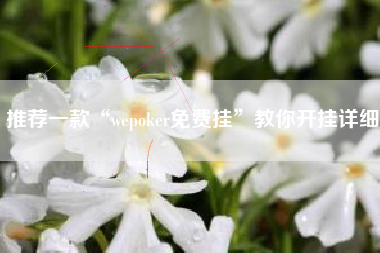 推荐一款“wepoker免费挂”教你开挂详细