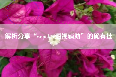 解析分享“wepoker透视辅助”的确有挂 解析分享“wepoker透视辅助”的确有挂