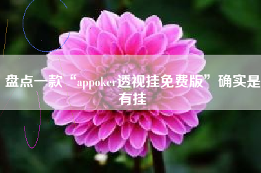 盘点一款“appoker透视挂免费版”确实是有挂