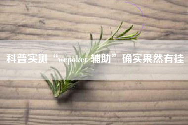 科普实测“wepoker 辅助”确实果然有挂