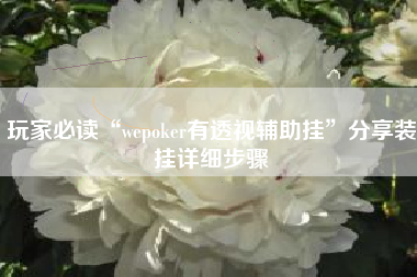 玩家必读“wepoker有透视辅助挂”分享装挂详细步骤 玩家必读“wepoker有透视辅助挂”分享装挂详细步骤
