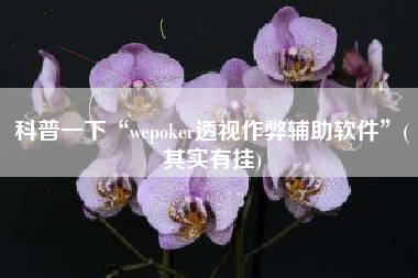 科普一下“wepoker透视作弊辅助软件”(其实有挂)