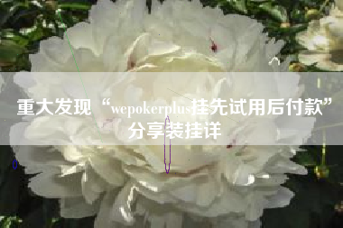 重大发现“wepokerplus挂先试用后付款”分享装挂详 重大发现“wepokerplus挂先试用后付款”分享装挂详
