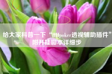 给大家科普一下“HHpoker透视辅助插件”附开挂脚本详细步