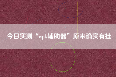 今日实测“wpk辅助器”原来确实有挂