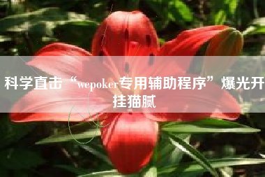 科学直击“wepoker专用辅助程序”爆光开挂猫腻 科学直击“wepoker专用辅助程序”爆光开挂猫腻