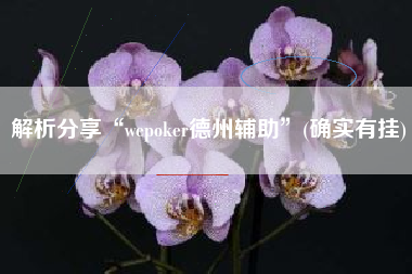 解析分享“wepoker德州辅助”(确实有挂)