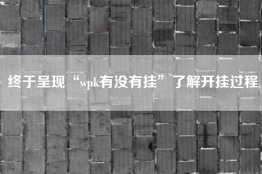 终于呈现“wpk有没有挂”了解开挂过程