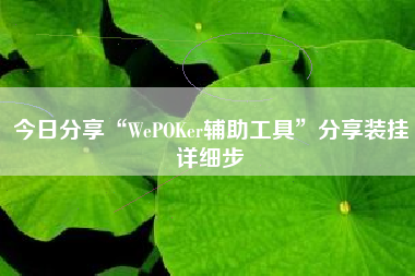 今日分享“WePOKer辅助工具”分享装挂详细步