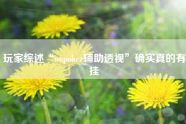 玩家综述“wepoker辅助透视”确实真的有挂 玩家综述“wepoker辅助透视”确实真的有挂