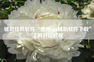 辅助挂机软件“德州wpk辅助软件下载”了解开挂过程