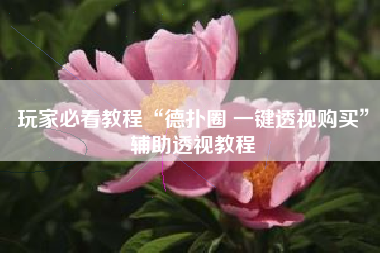 玩家必看教程“德扑圈 一键透视购买”辅助透视教程 玩家必看教程“德扑圈 一键透视购买”辅助透视教程