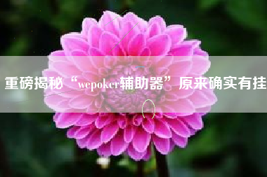 重磅揭秘“wepoker辅助器”原来确实有挂 重磅揭秘“wepoker辅助器”原来确实有挂