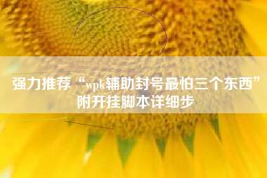 强力推荐“wpk辅助封号最怕三个东西”附开挂脚本详细步