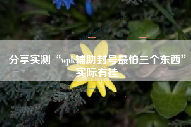 分享实测“wpk辅助封号最怕三个东西”实际有挂 分享实测“wpk辅助封号最怕三个东西”实际有挂