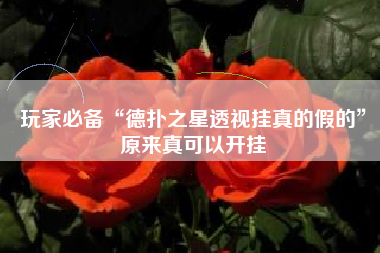 玩家必备“德扑之星透视挂真的假的”原来真可以开挂