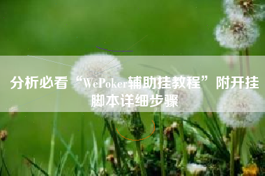分析必看“WePoker辅助挂教程”附开挂脚本详细步骤