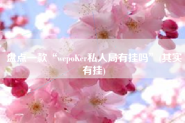 盘点一款“wepoKer私人局有挂吗”(其实有挂) 盘点一款“wepoKer私人局有挂吗”(其实有挂)
