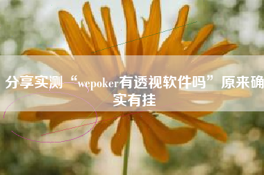 分享实测“wepoker有透视软件吗”原来确实有挂