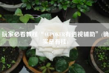 玩家必看教程“AGPOKER有透视辅助”(确实是有挂)