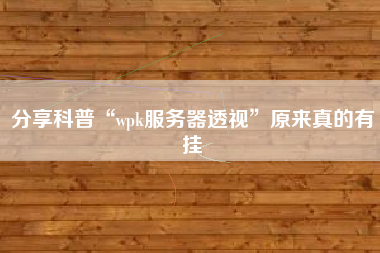 分享科普“wpk服务器透视”原来真的有挂