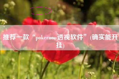 推荐一款“pokernow透视软件”(确实能开挂)