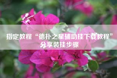 指定教程“德扑之星辅助挂下载教程”分享装挂步骤