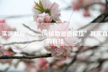 实测教程“wepoker辅助器透视挂”其实真的有挂