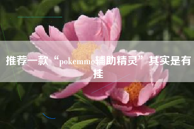 推荐一款“pokemmo辅助精灵”其实是有挂 推荐一款“pokemmo辅助精灵”其实是有挂