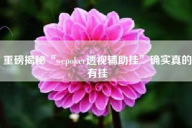 重磅揭秘“wepoker透视辅助挂”确实真的有挂