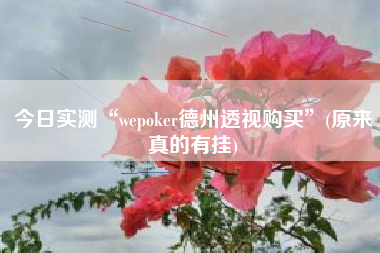 今日实测“wepoker德州透视购买”(原来真的有挂)