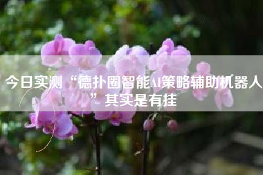 今日实测“德扑圈智能AI策略辅助机器人”其实是有挂