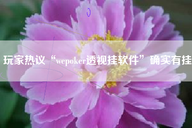 玩家热议“wepoker透视挂软件”确实有挂