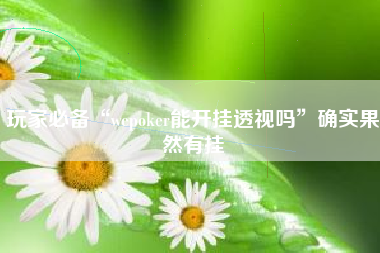玩家必备“wepoker能开挂透视吗”确实果然有挂