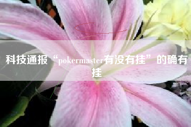 科技通报“pokermaster有没有挂”的确有挂
